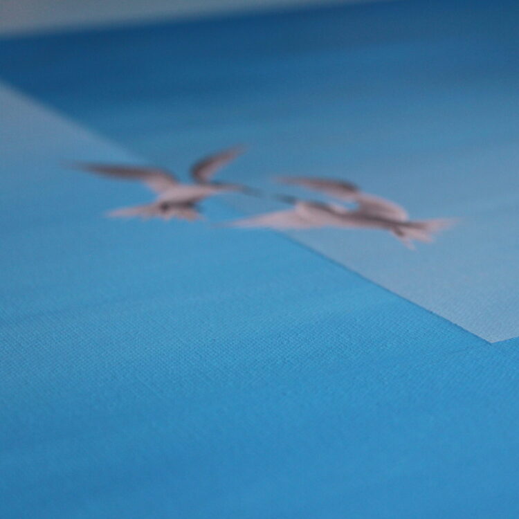Tirage Fine Art - Fenêtre – Image 5